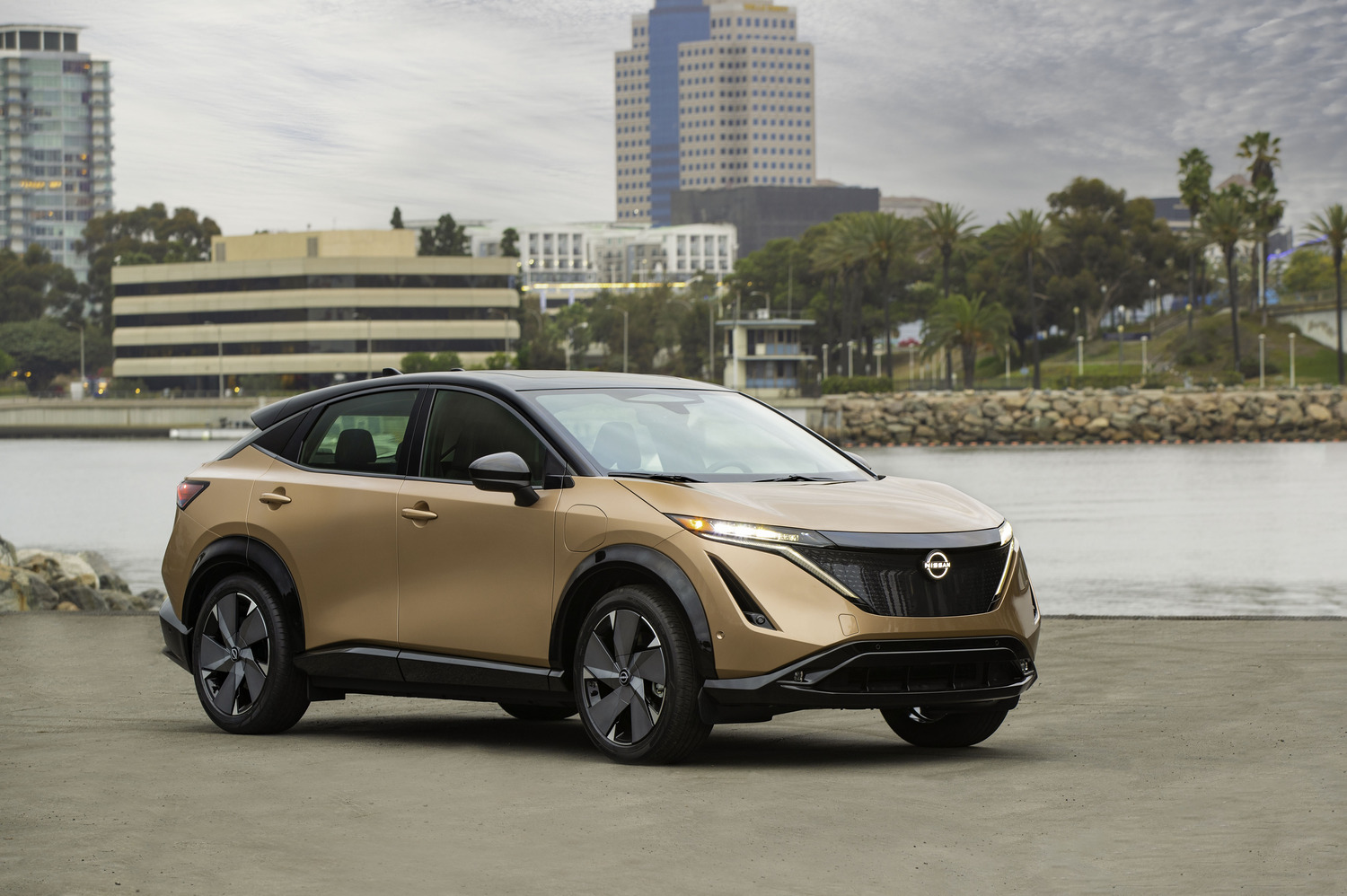 car-photo